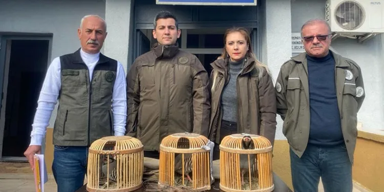 Kaçak avcılık yapan 1 kişiye para cezası kesildi