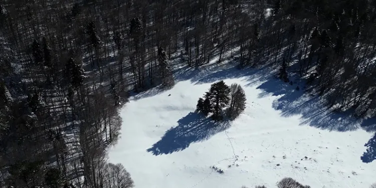 Uludağ’ın ayak basılmayan yayları
