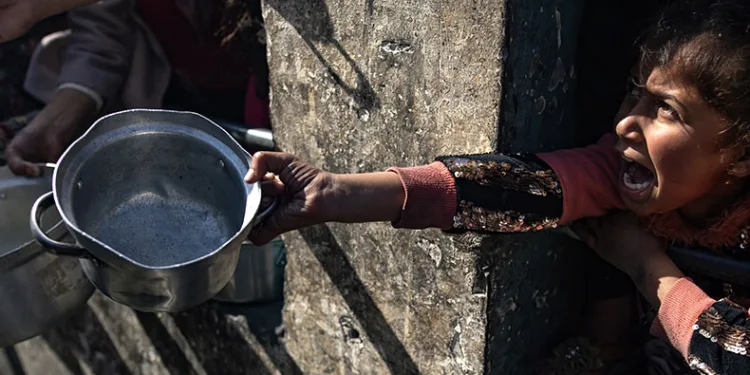 Refah operasyonunun engellenmesi çağrısı