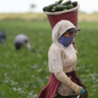 "Çiftçilerin destek ödemesi bugün yatıyor”