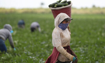 "Çiftçilerin destek ödemesi bugün yatıyor”