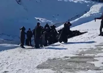Van’da 4 organizatör tutuklandı