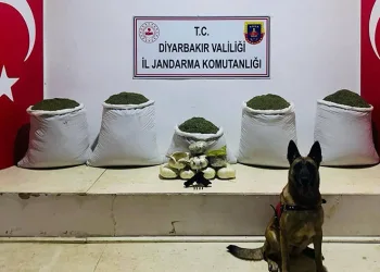 Lice’de 91 kilo esrar ele geçirildi