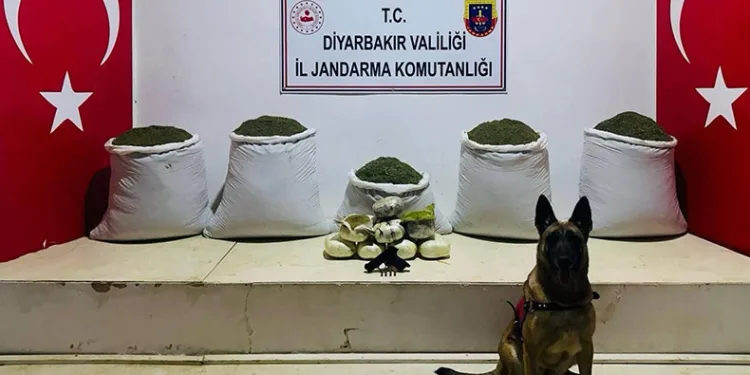 Lice’de 91 kilo esrar ele geçirildi