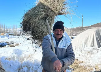 Yüksekova’da ithal çoban dönemi