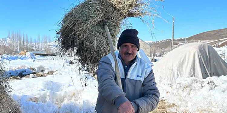Yüksekova’da ithal çoban dönemi