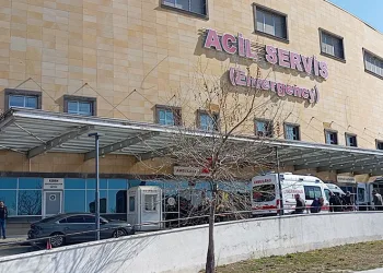 17 yaşındaki çocuk araç içinde ölü bulundu