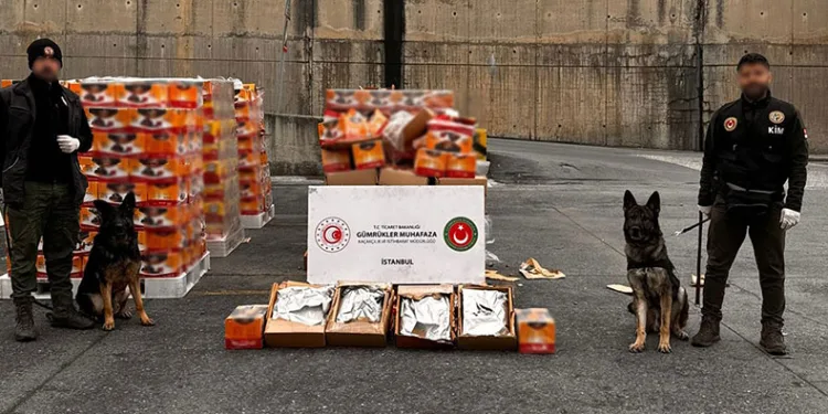 Ambarlı Limanı’nda zehir tacirlerine yönelik operasyon