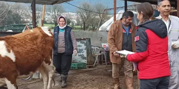 Fethiye’de şap hastalığı ile mücadele sürüyor
