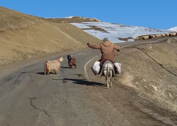 Besicilerin zorlu kış mesaisi devam ediyor