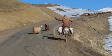 Besicilerin zorlu kış mesaisi devam ediyor
