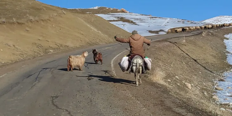 Besicilerin zorlu kış mesaisi devam ediyor