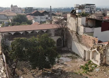 Enkaz kentte, narenciyeler dallarda kaldı
