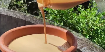 Çukurca tahini coğrafi işaret aldı