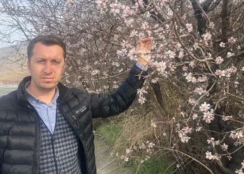 Malatya’da badem ağaçları çiçek açtı