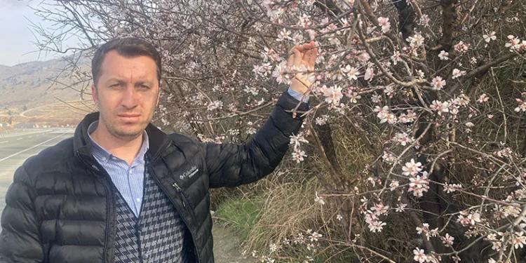 Malatya’da badem ağaçları çiçek açtı