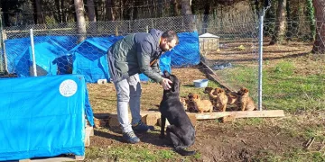 Ünye’de sokak hayvanlarına barınak ve mama desteği