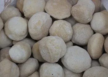 Geleneksel lezzet hastalıklardan koruyor