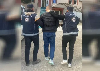 Göçmen kaçakçılığı yapan şüpheli tutuklandı