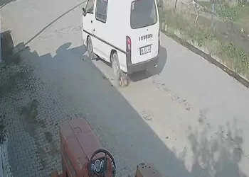 Doğum yapan köpeği ezip olay yerinden kaçtı