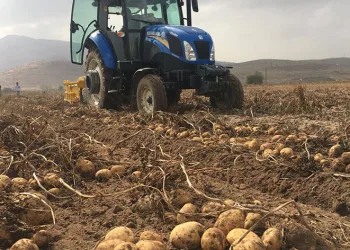 “Patates fiyatlarında artış yok”