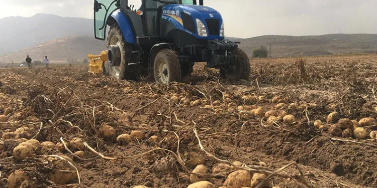 “Patates fiyatlarında artış yok”