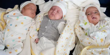Her kontrolde bebek sayısı arttı