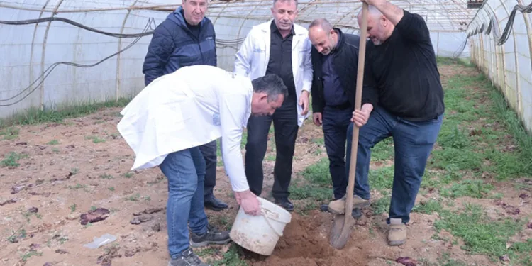 Örtü altı üreticiye destek