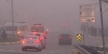 Kartpostallık sis manzarası mest etti