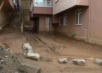 Her yağmurda diken üstünde yaşıyor