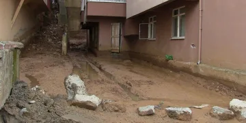 Her yağmurda diken üstünde yaşıyor