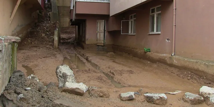 Her yağmurda diken üstünde yaşıyor