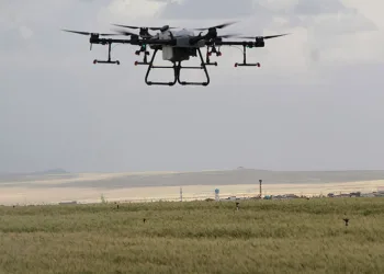 Sökeli üreticilere drone ile ilaçlama uyarısı
