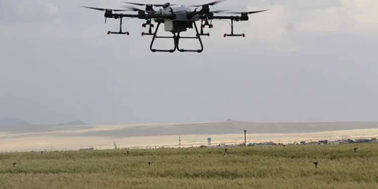 Sökeli üreticilere drone ile ilaçlama uyarısı