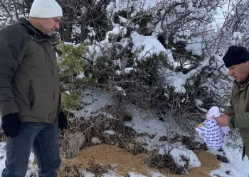 Elazığ’da yaban hayvanları unutulmadı