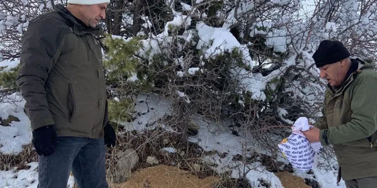 Elazığ’da yaban hayvanları unutulmadı