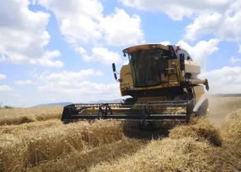 433 bin 883 ton buğday unu ihracatı