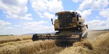 433 bin 883 ton buğday unu ihracatı