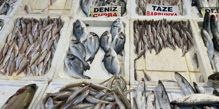 Kaçak karidese dikkat