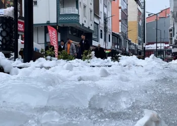 Tatvan’da hayat dondu