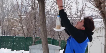 Dondurucu soğuklarda yaban hayvanları unutulmadı