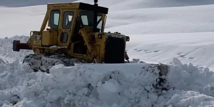 Ekipler yaylada kalan 4 aile için yolları açıyor