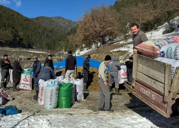 Zorlu kış şartlarında imece usulüyle hayvanlarını besliyorlar