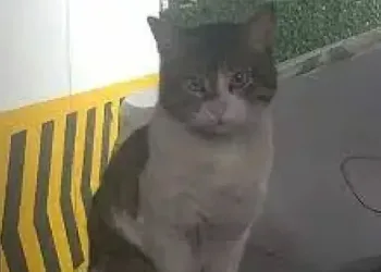 Eros’un davası yeniden görülecek