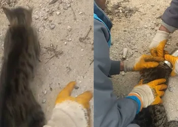 İşi gücü bırakıp yardıma koştular