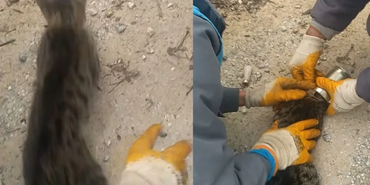 İşi gücü bırakıp yardıma koştular