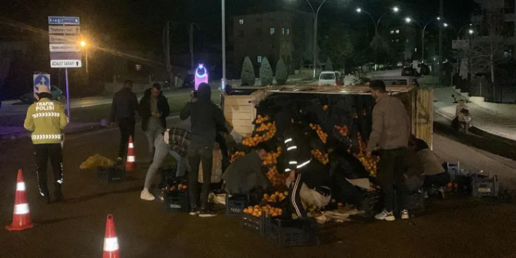 Devrilen narenciye yüklü kamyonetin sürücüsü ölümden döndü