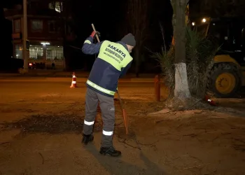 Sakarya’nın sembol noktalarına estetik dokunuş