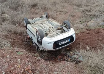 Hafif ticari araç şarampole devrildi