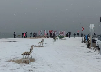 Van’da kar yağışı etkili oldu